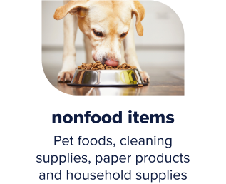 Dog eating out of food bowl